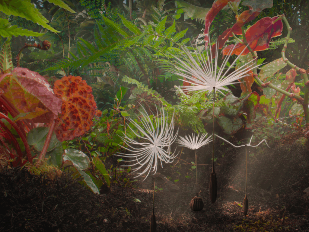 The four achenes in the wild world