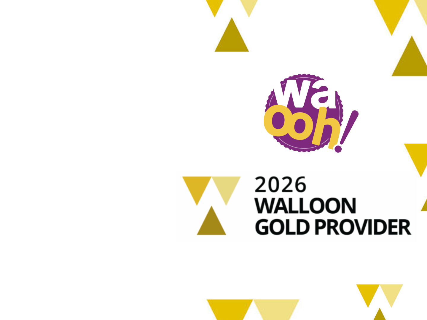 Waooh! receive the Walloon Gold Provider !